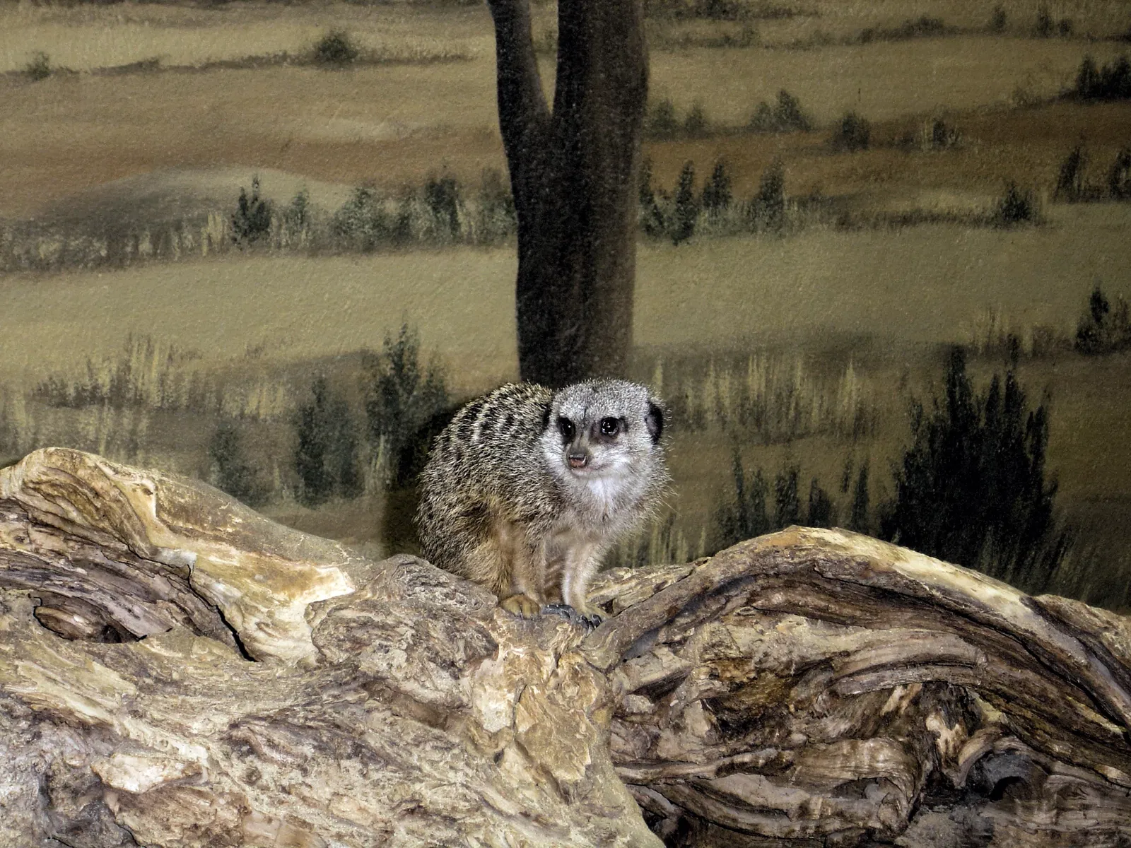 Assiniboine Park Zoo