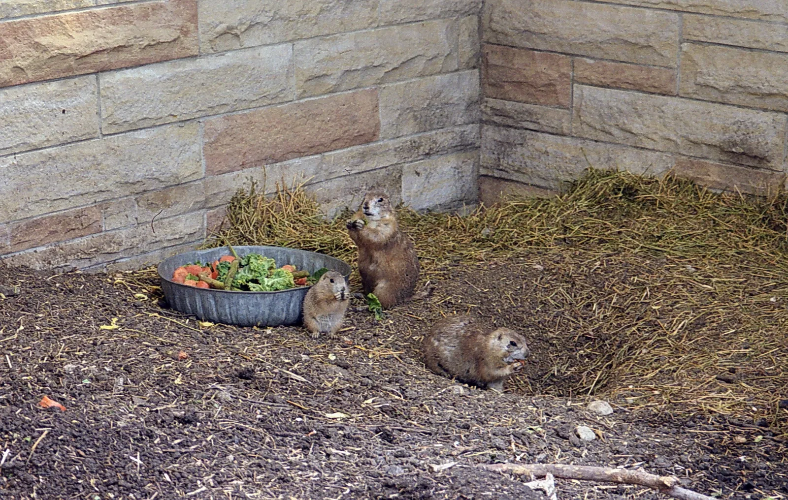 Assiniboine Park Zoo