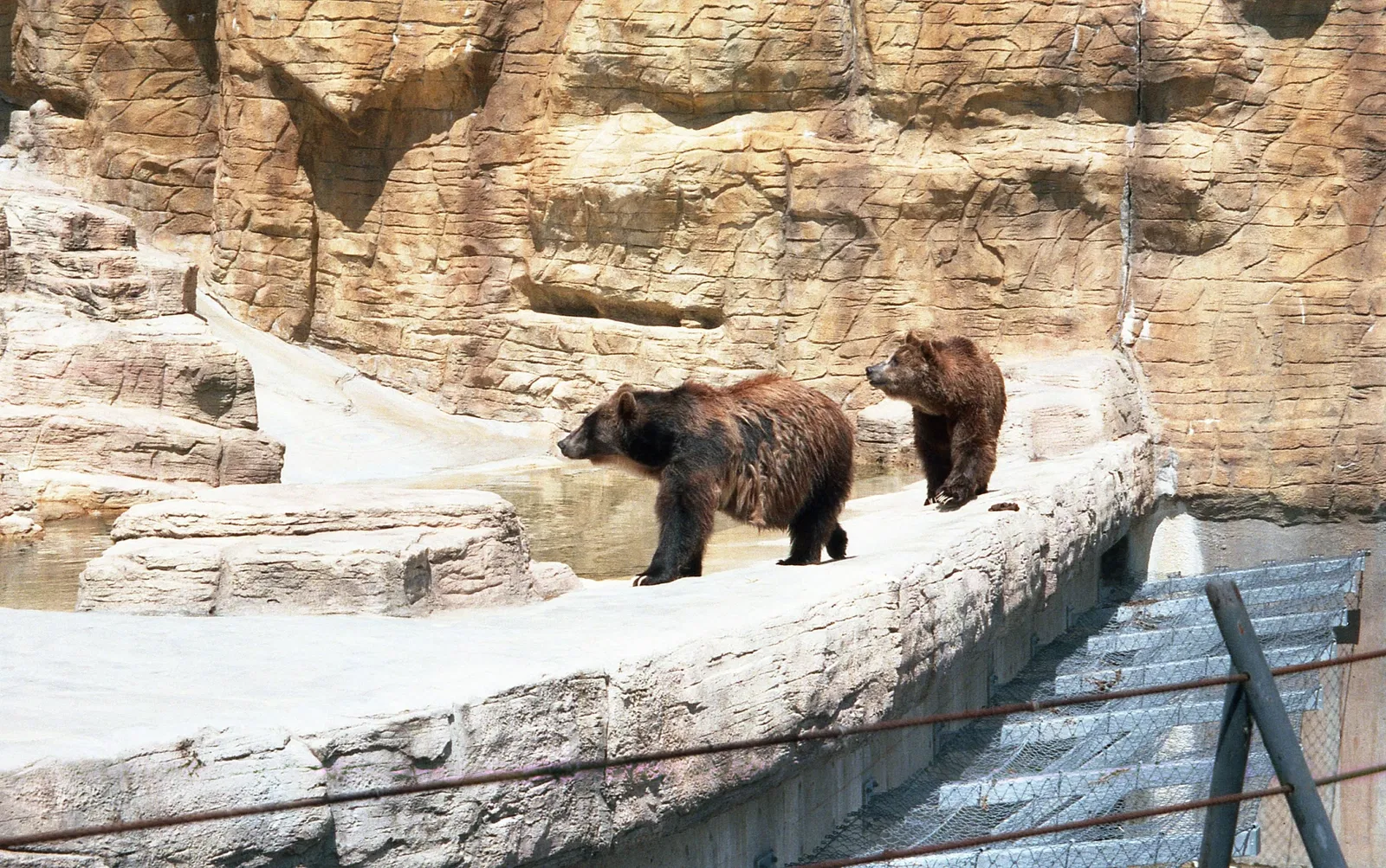 Assiniboine Park Zoo