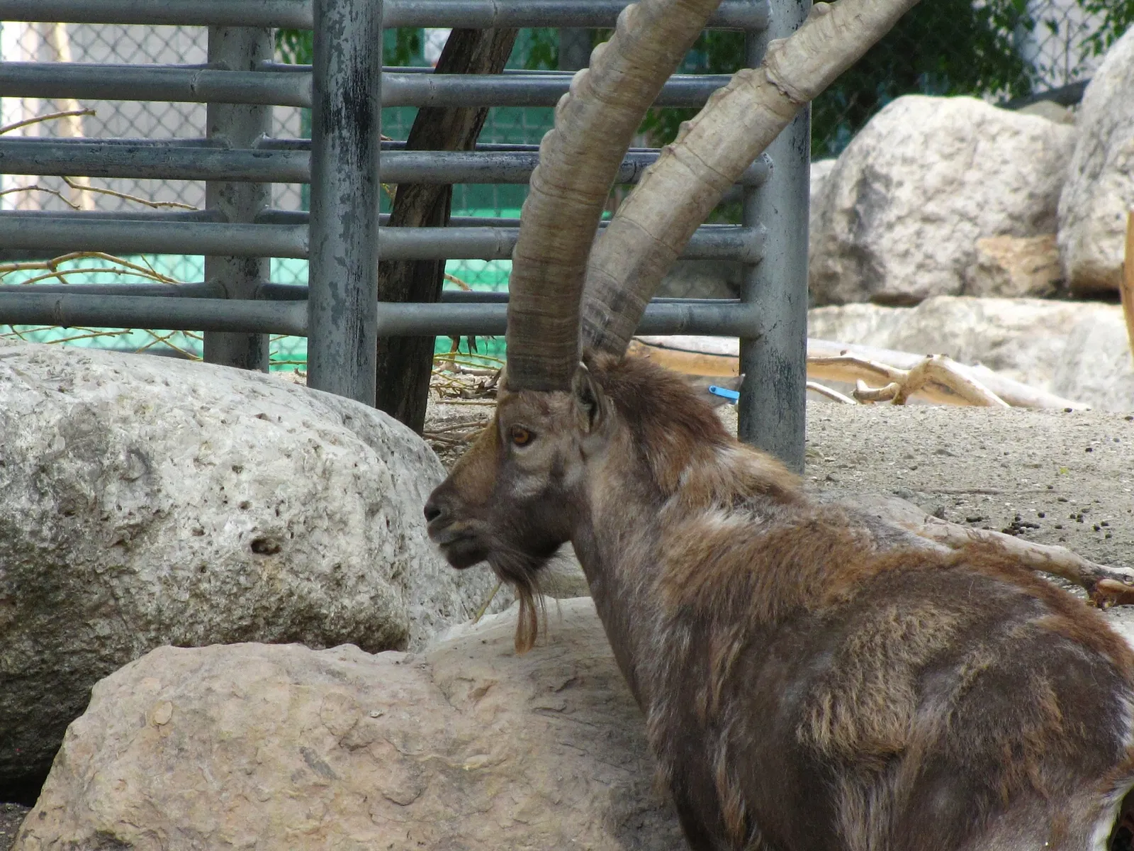 Assiniboine Park Zoo