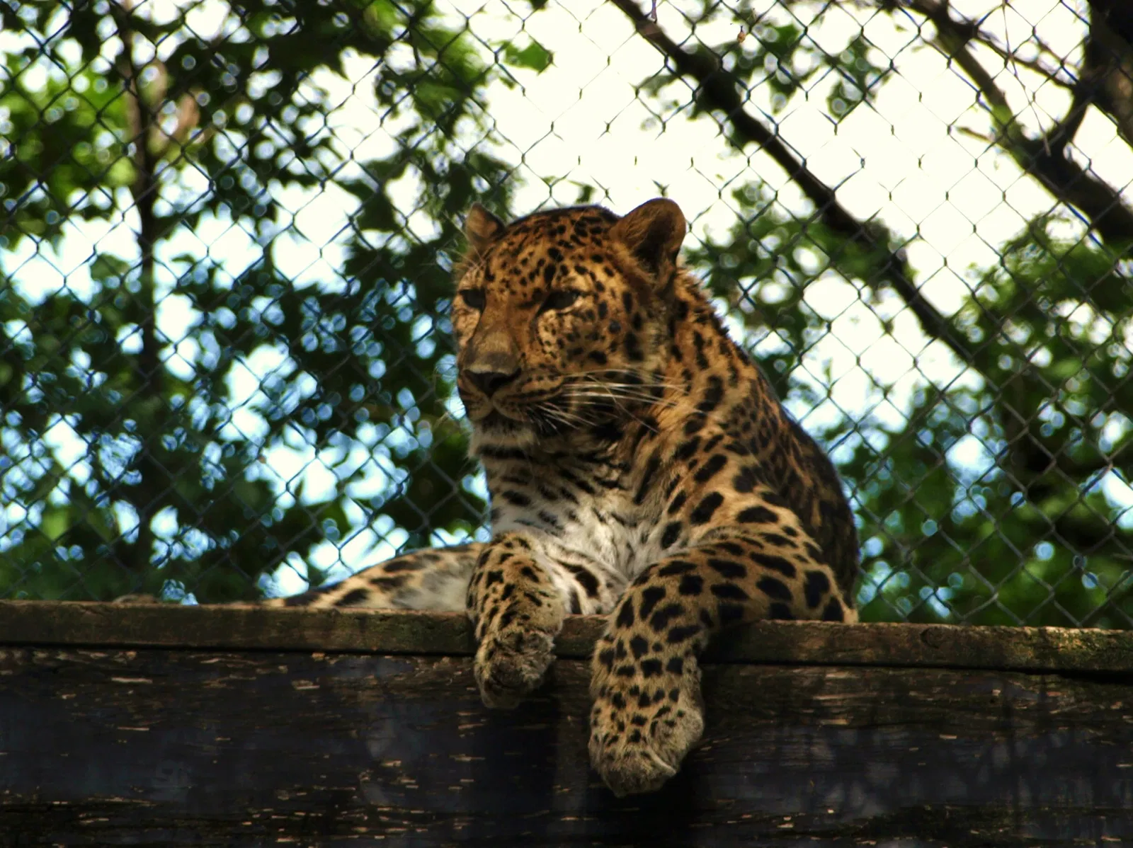 Assiniboine Park Zoo