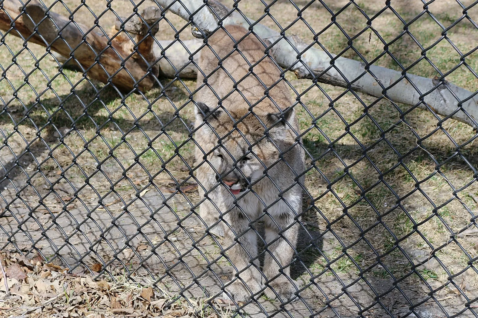 Assiniboine Park Zoo