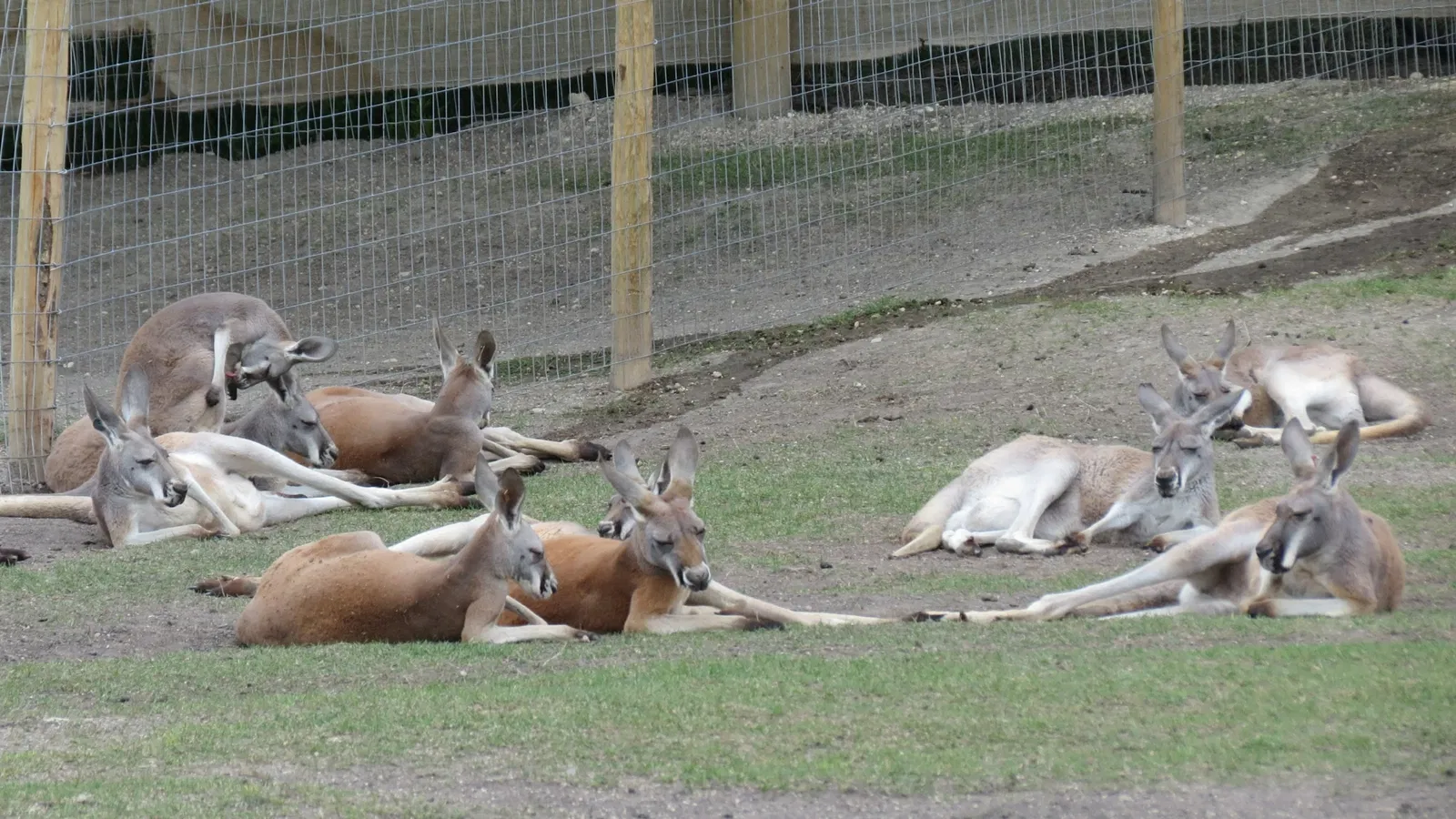 Assiniboine Park Zoo