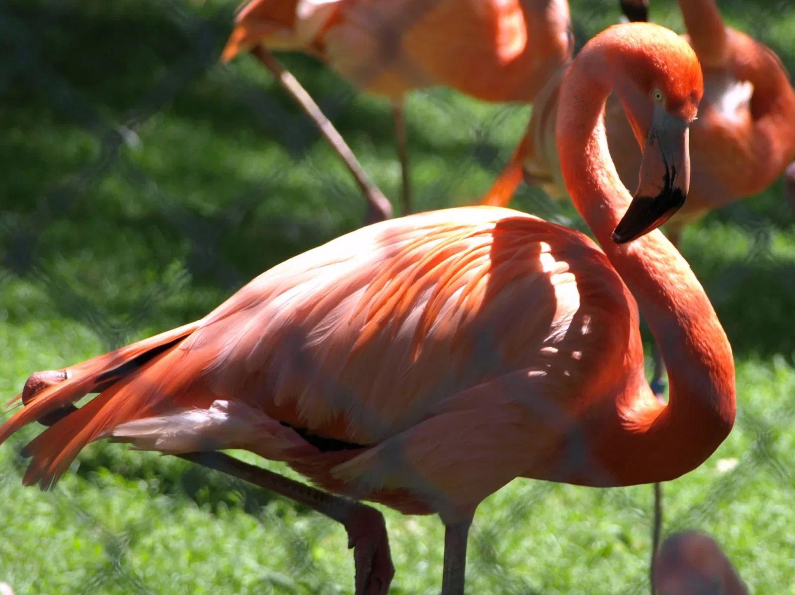 Assiniboine Park Zoo