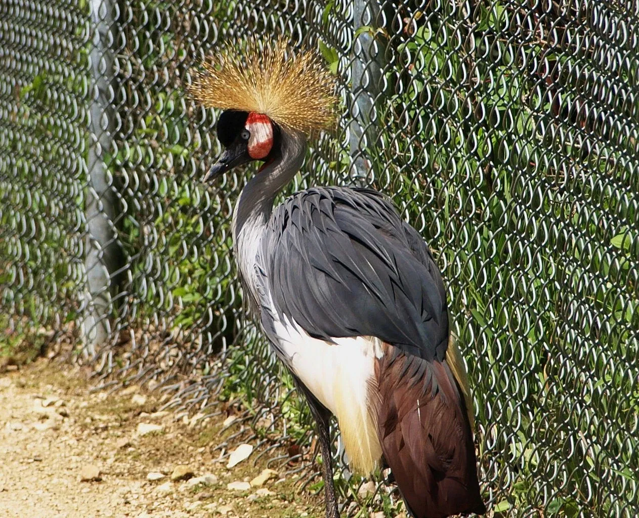 Assiniboine Park Zoo