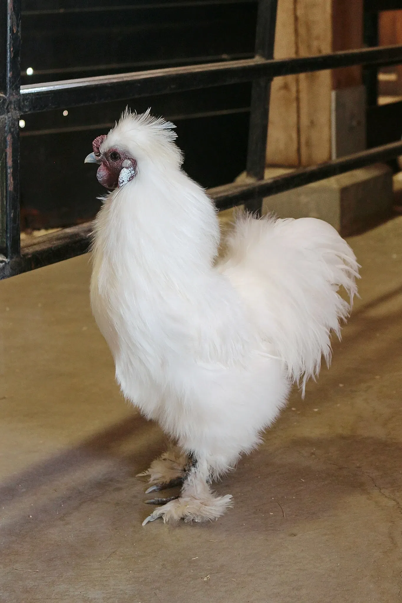 Assiniboine Park Zoo