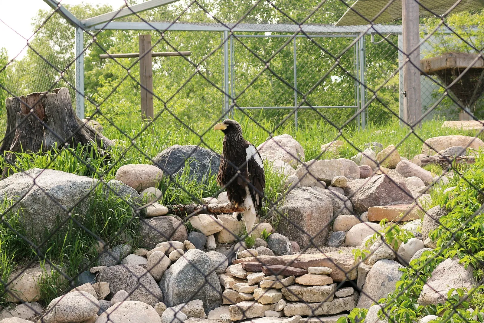 Assiniboine Park Zoo
