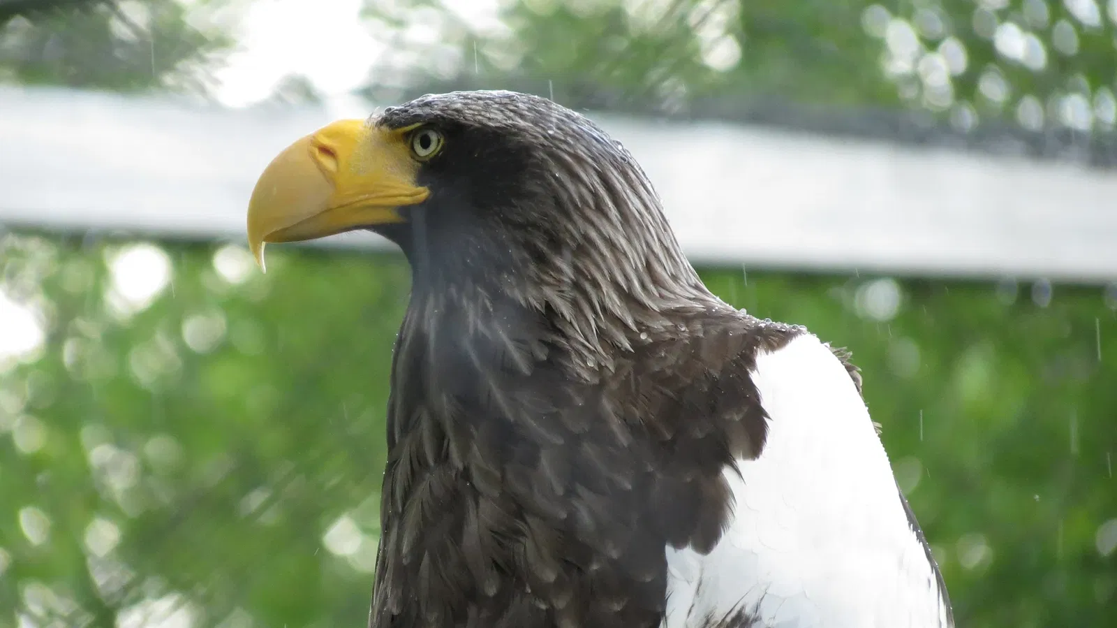 Assiniboine Park Zoo