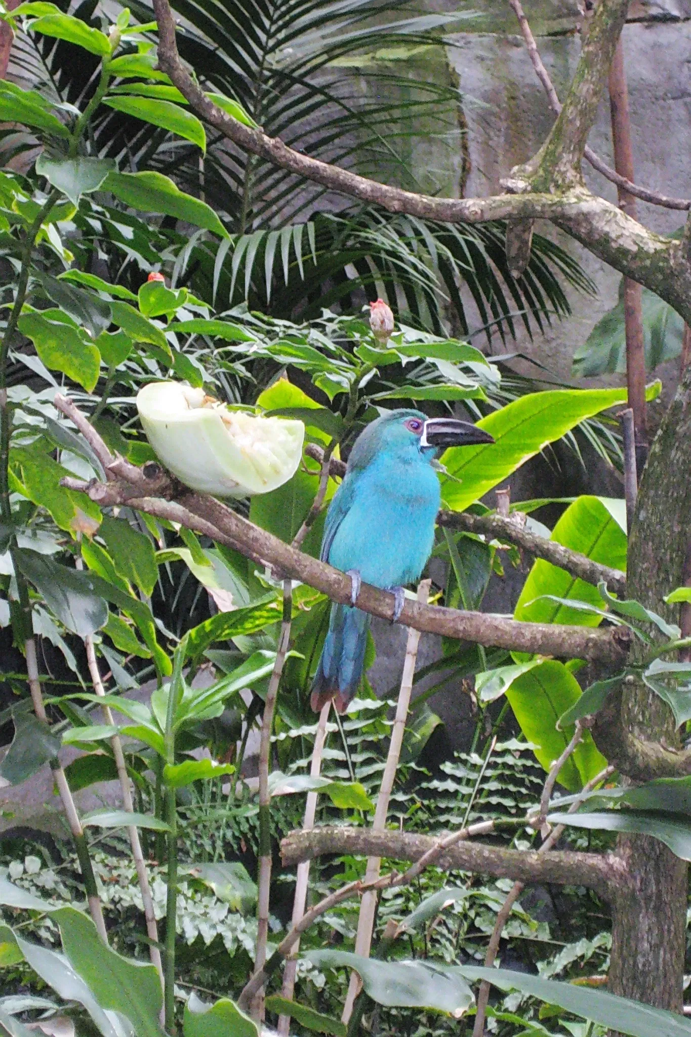 Assiniboine Park Zoo