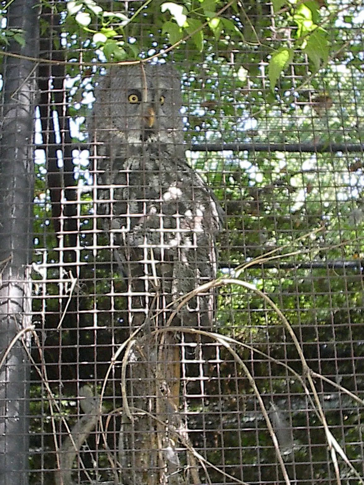 Assiniboine Park Zoo