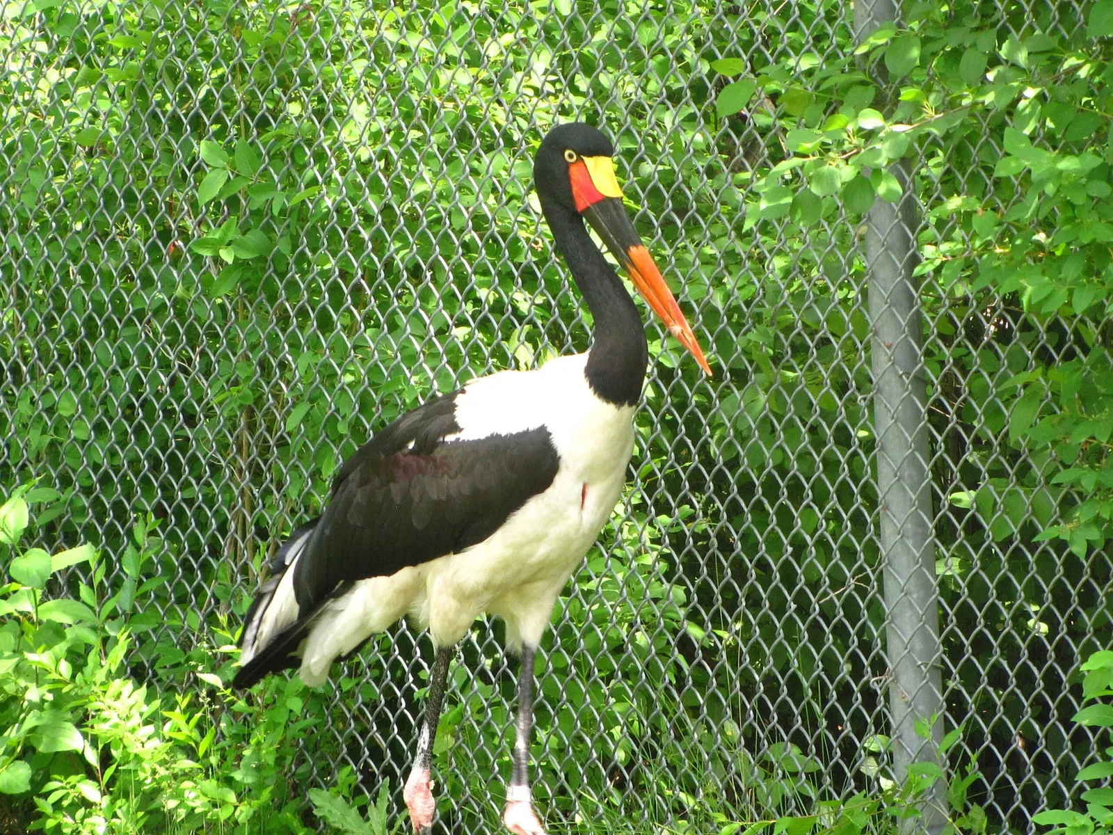 Assiniboine Park Zoo