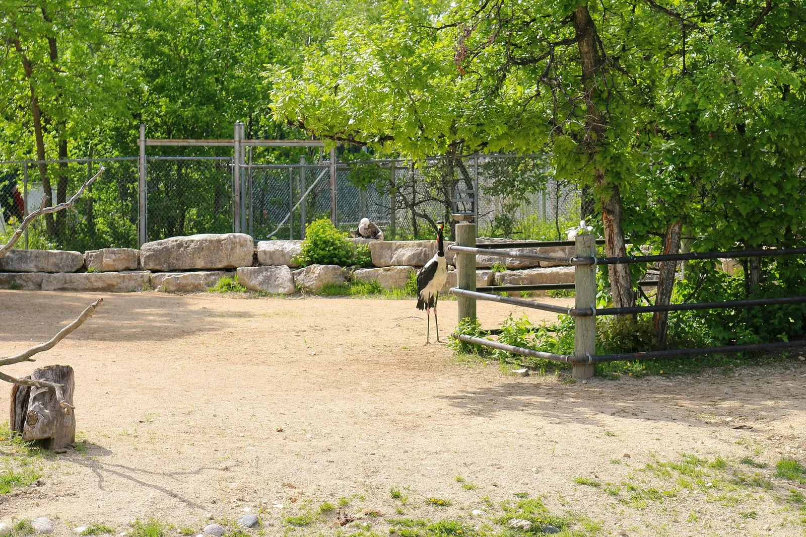 Assiniboine Park Zoo