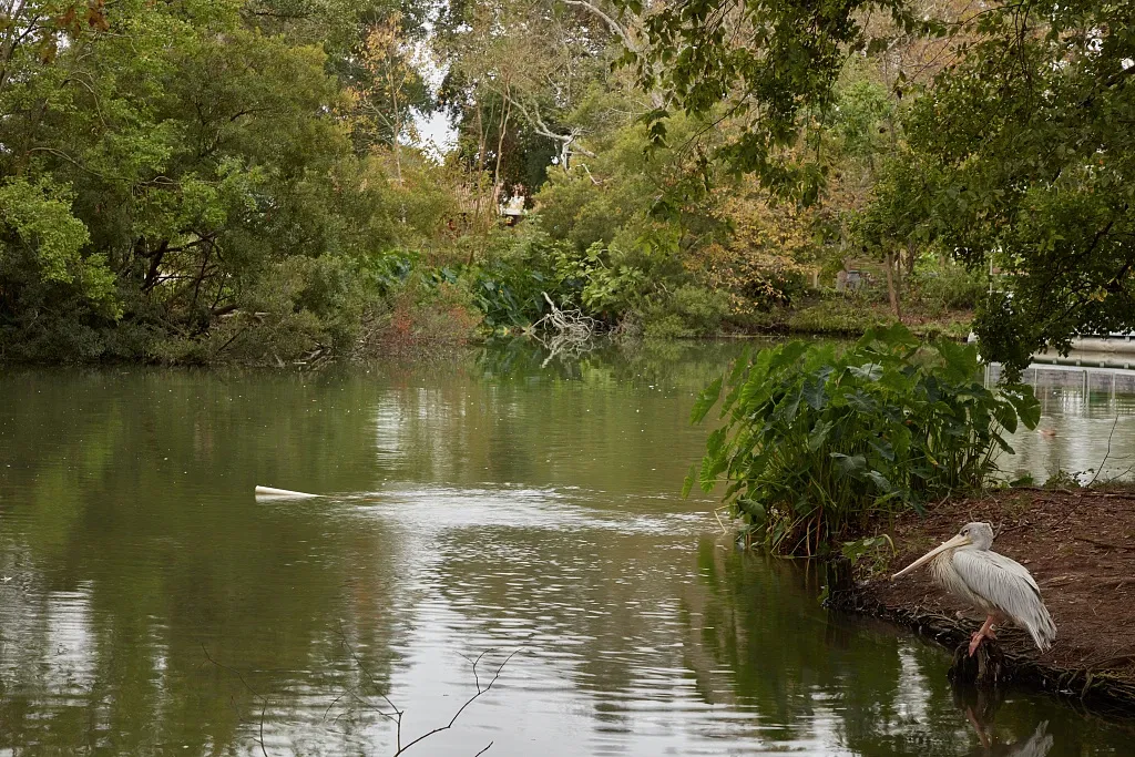Louisiana Purchase Gardens & Zoo