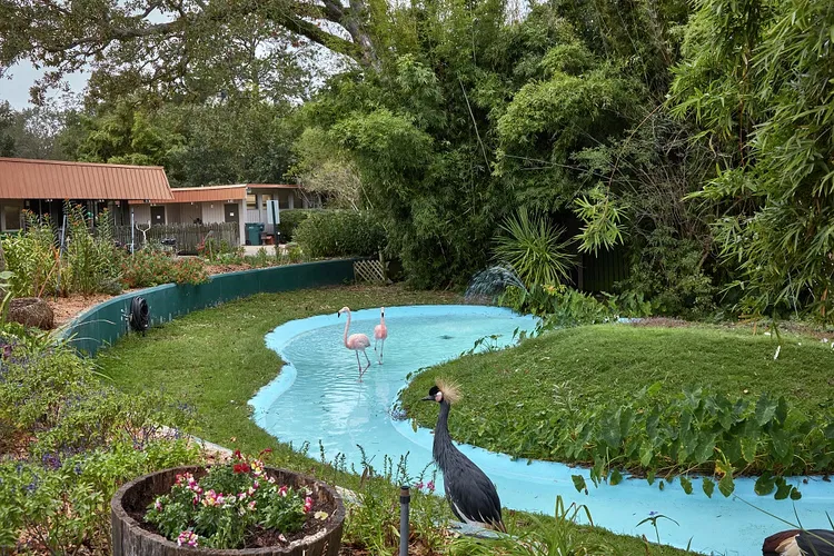 Louisiana Purchase Gardens & Zoo