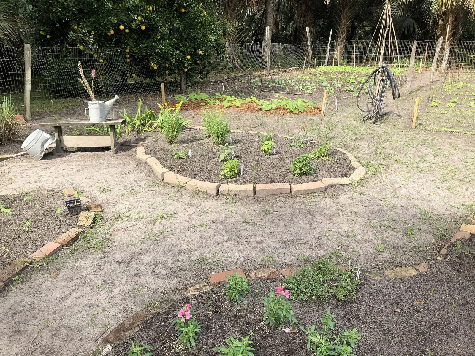 Marjorie Kinnan Rawlings Historic State Park