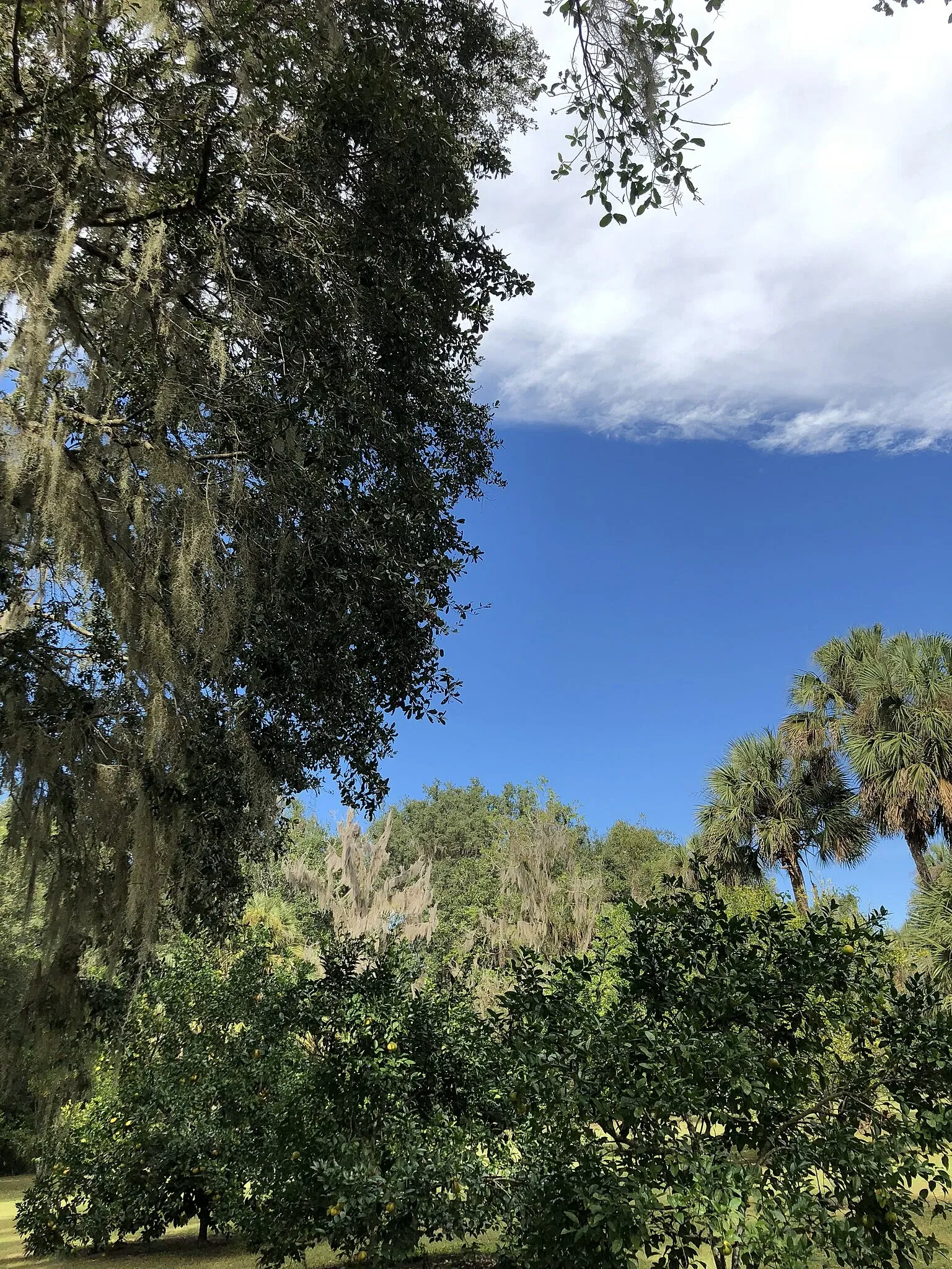 Marjorie Kinnan Rawlings Historic State Park