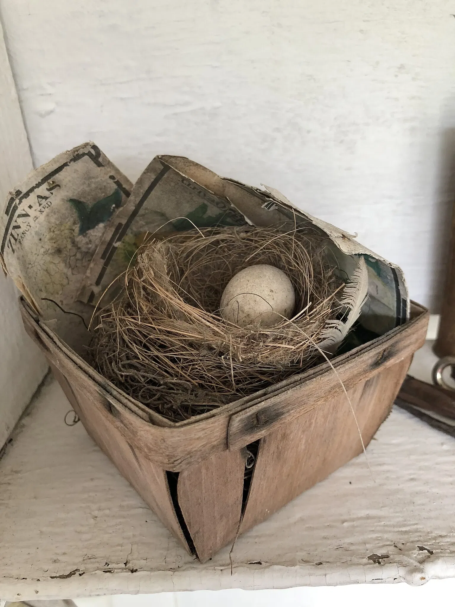 Marjorie Kinnan Rawlings Historic State Park