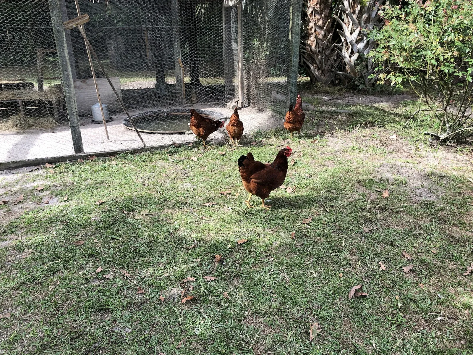 Marjorie Kinnan Rawlings Historic State Park