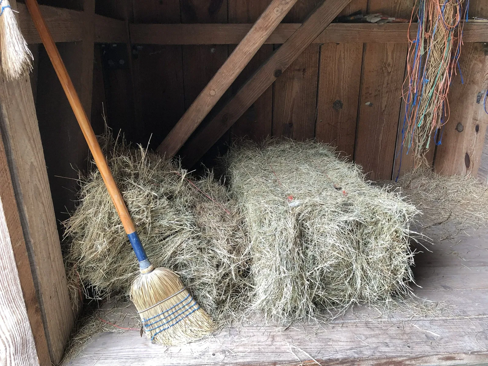 Marjorie Kinnan Rawlings Historic State Park
