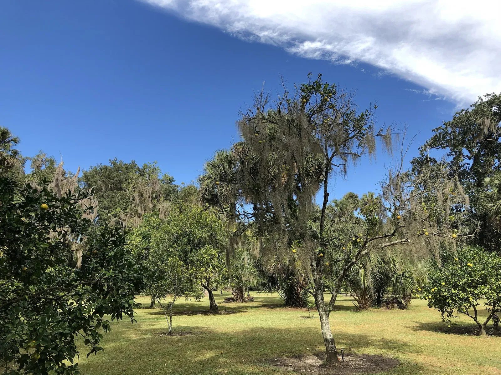 Marjorie Kinnan Rawlings Historic State Park
