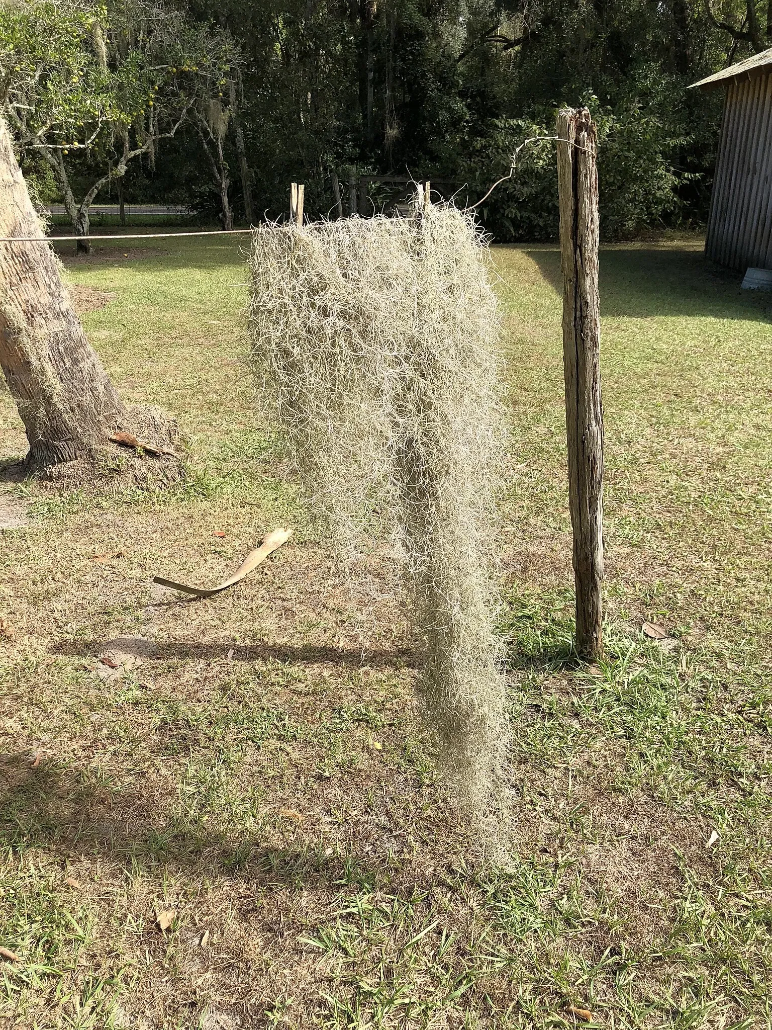 Marjorie Kinnan Rawlings Historic State Park