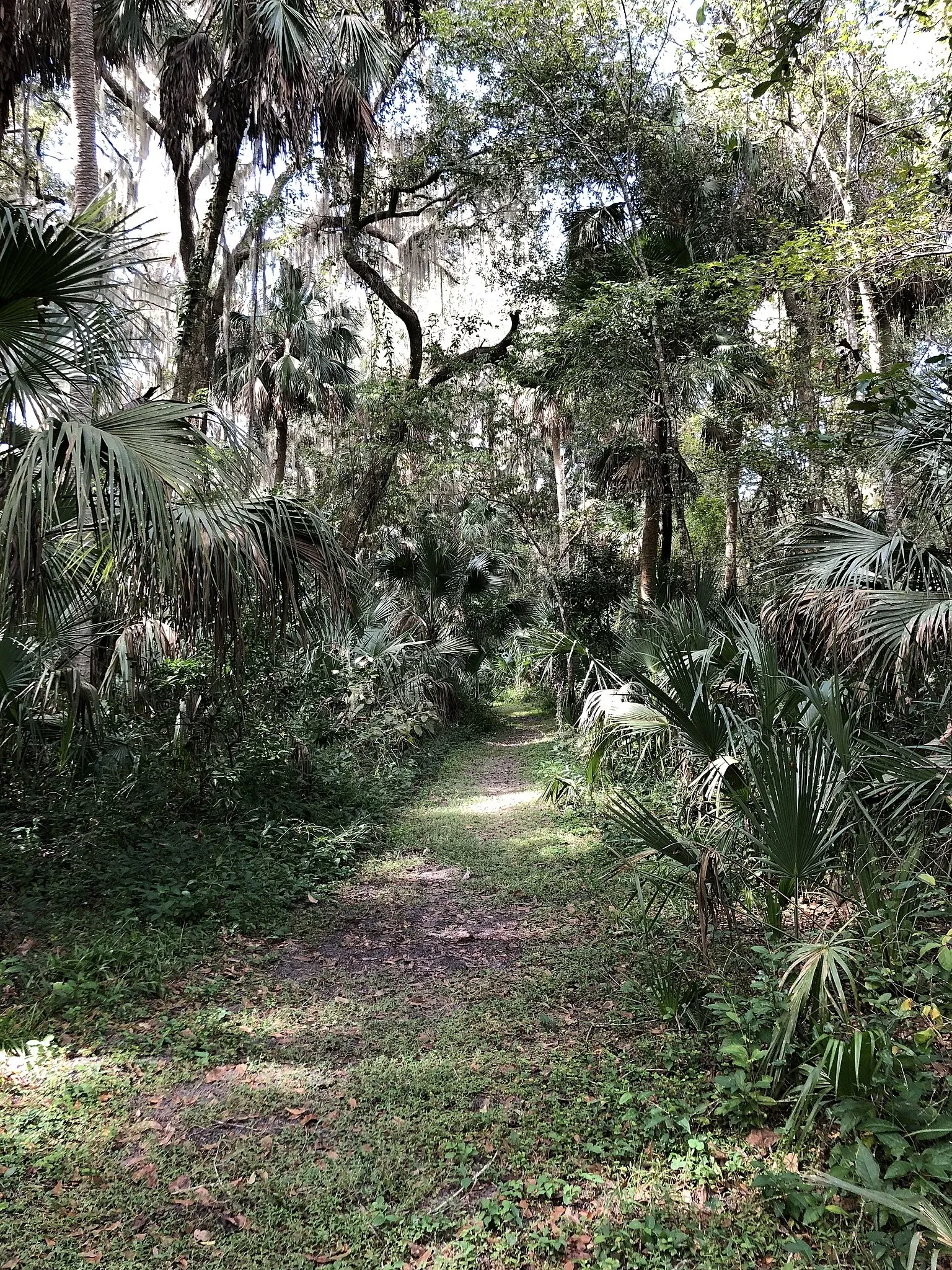 Marjorie Kinnan Rawlings Historic State Park