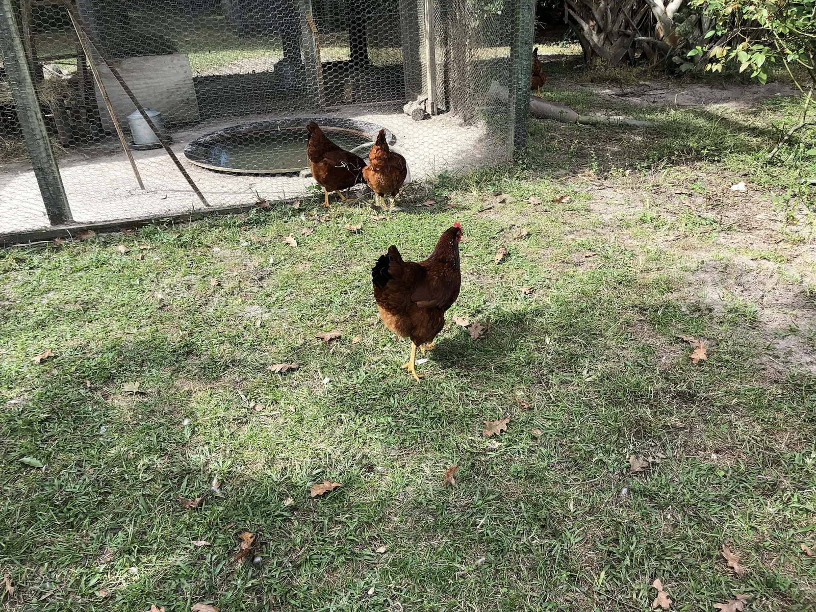 Marjorie Kinnan Rawlings Historic State Park