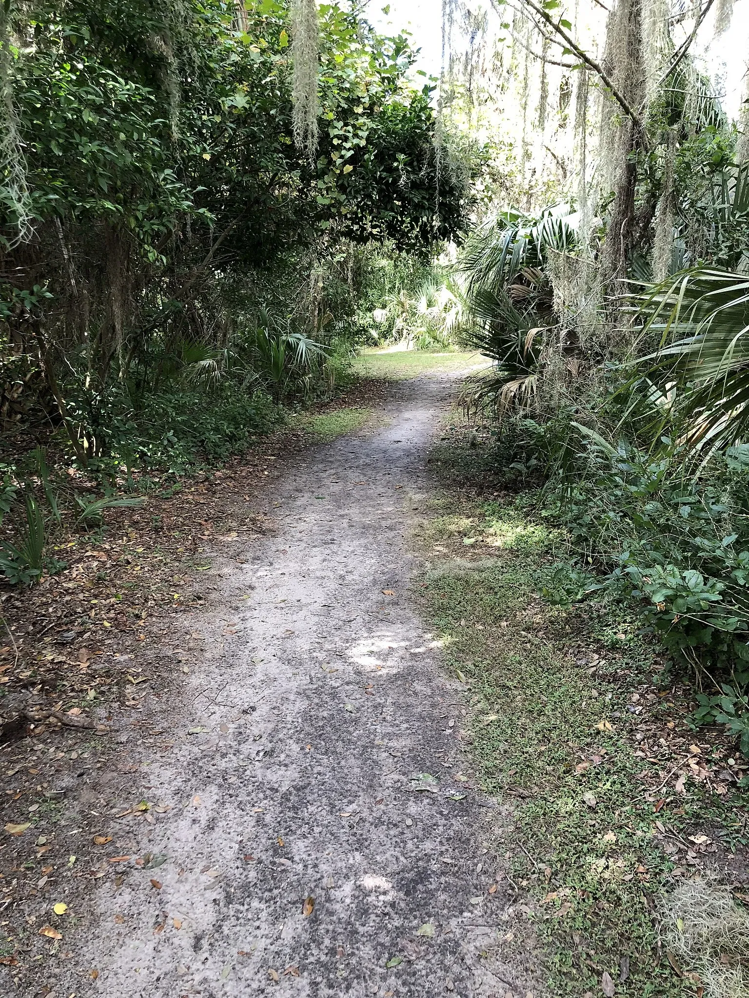 Marjorie Kinnan Rawlings Historic State Park