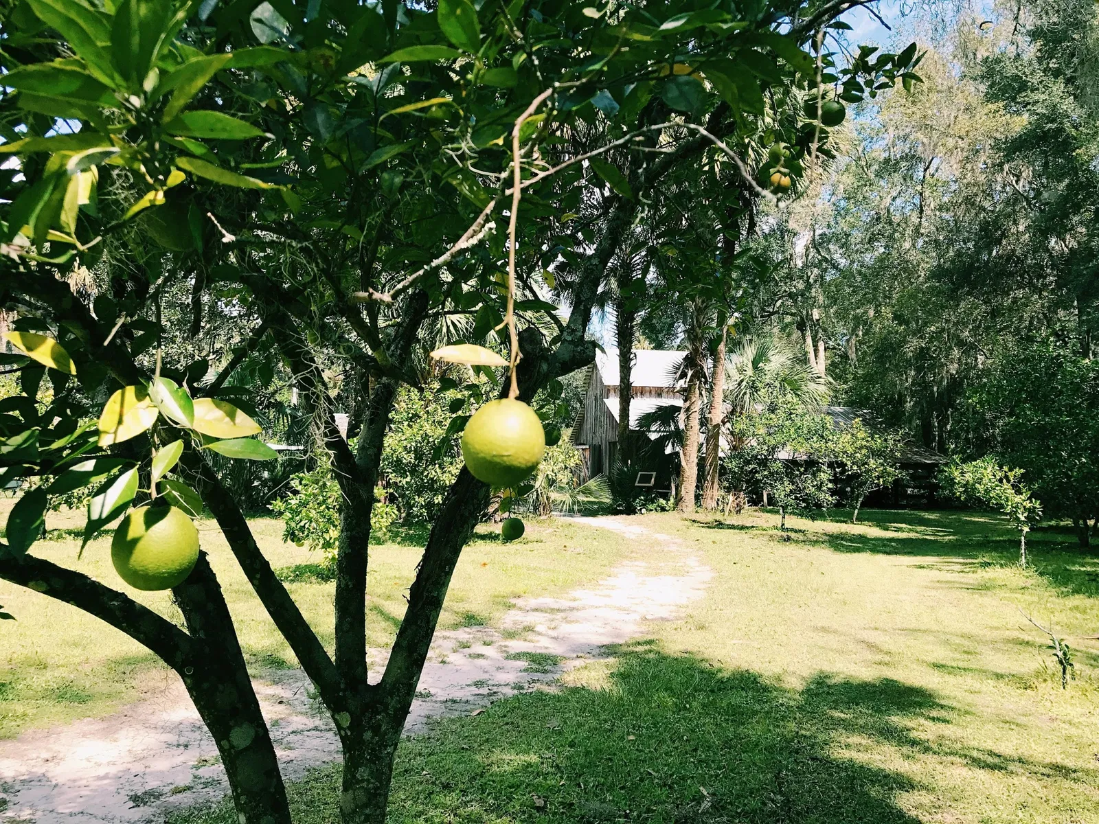 Marjorie Kinnan Rawlings Historic State Park