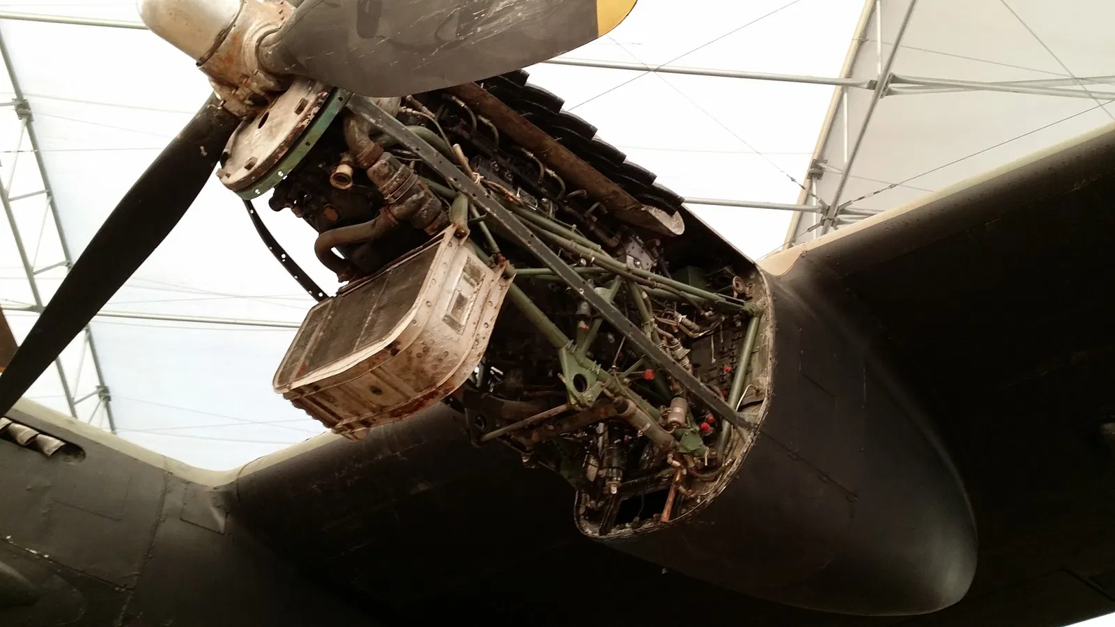 The Hangar Flight Museum