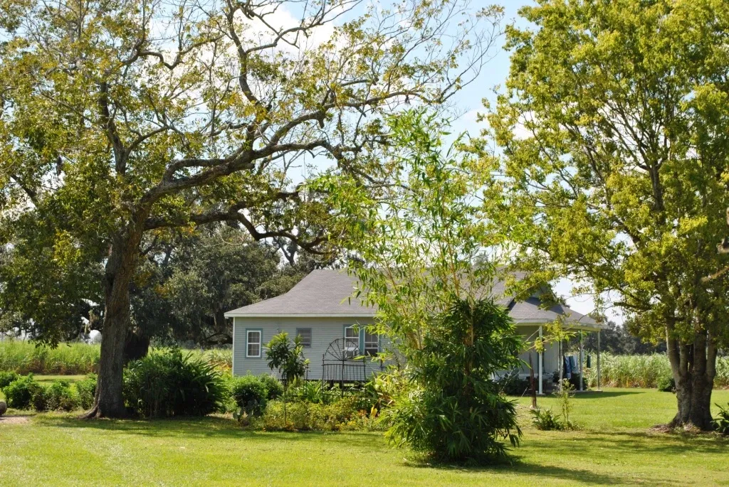 Laura Plantation