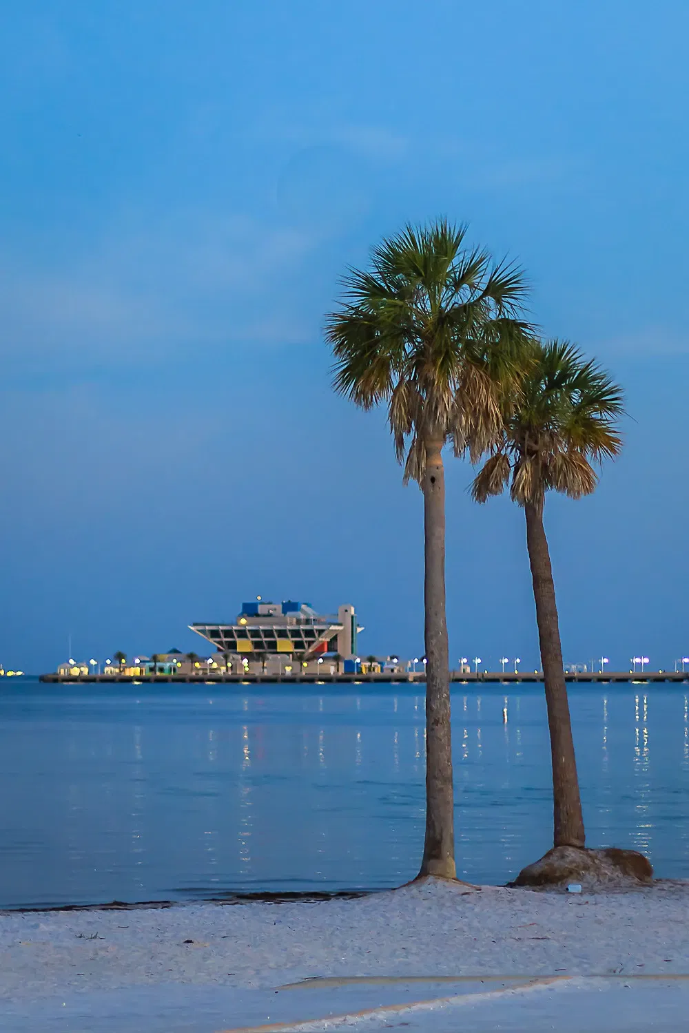 The St. Pete Pier