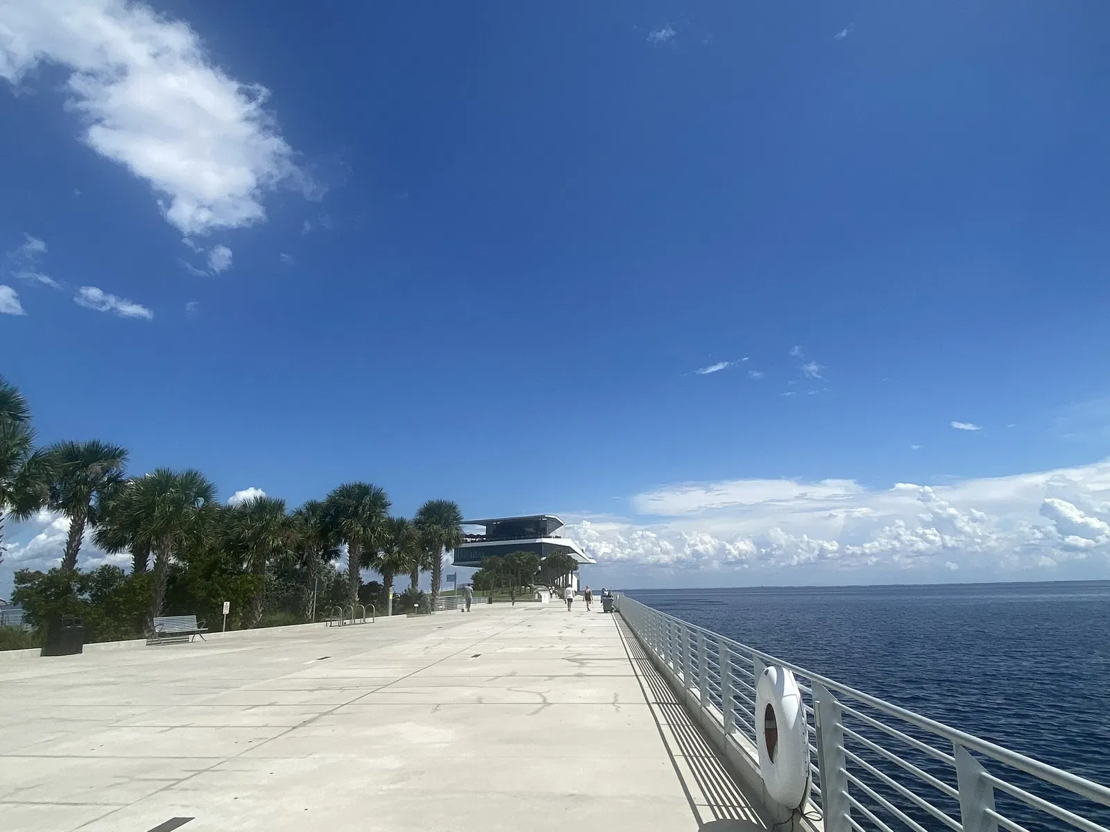 The St. Pete Pier