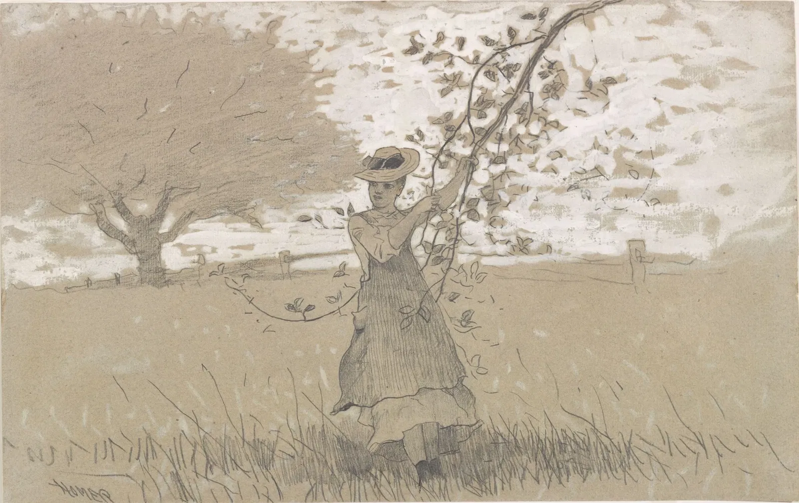 Colby College Museum of Art