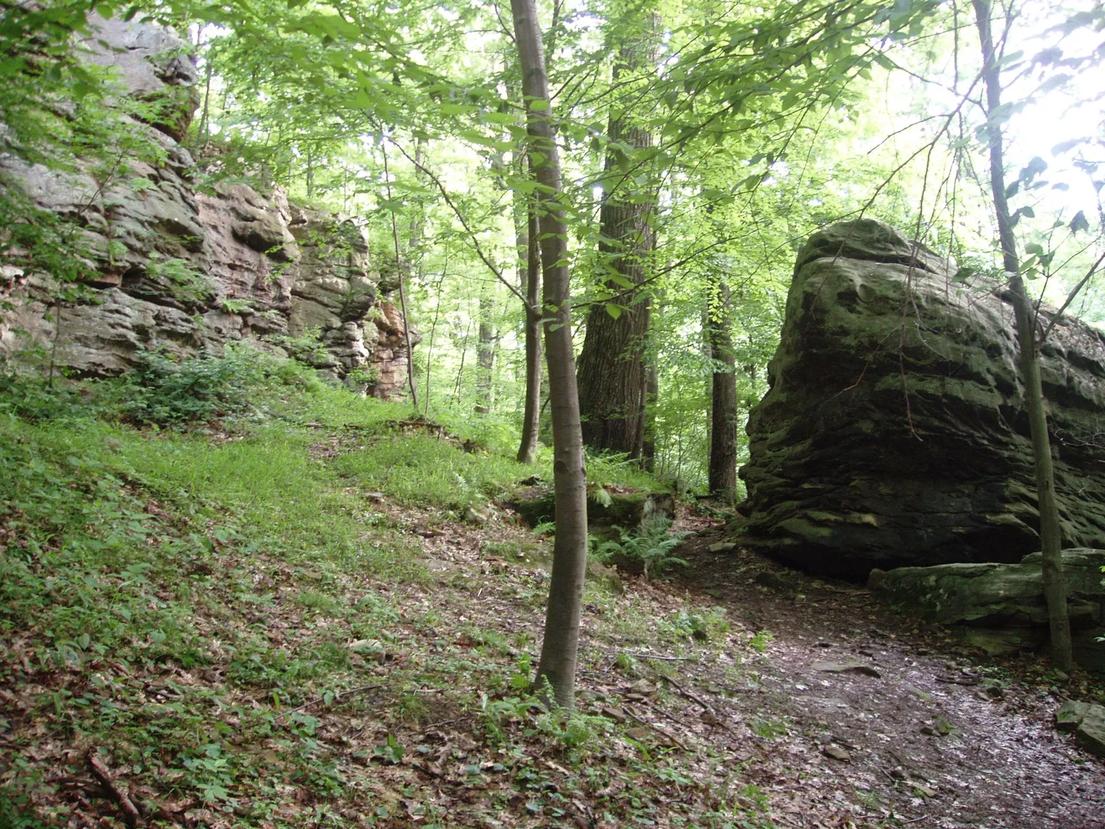 Champ de bataille national de Fort Necessity