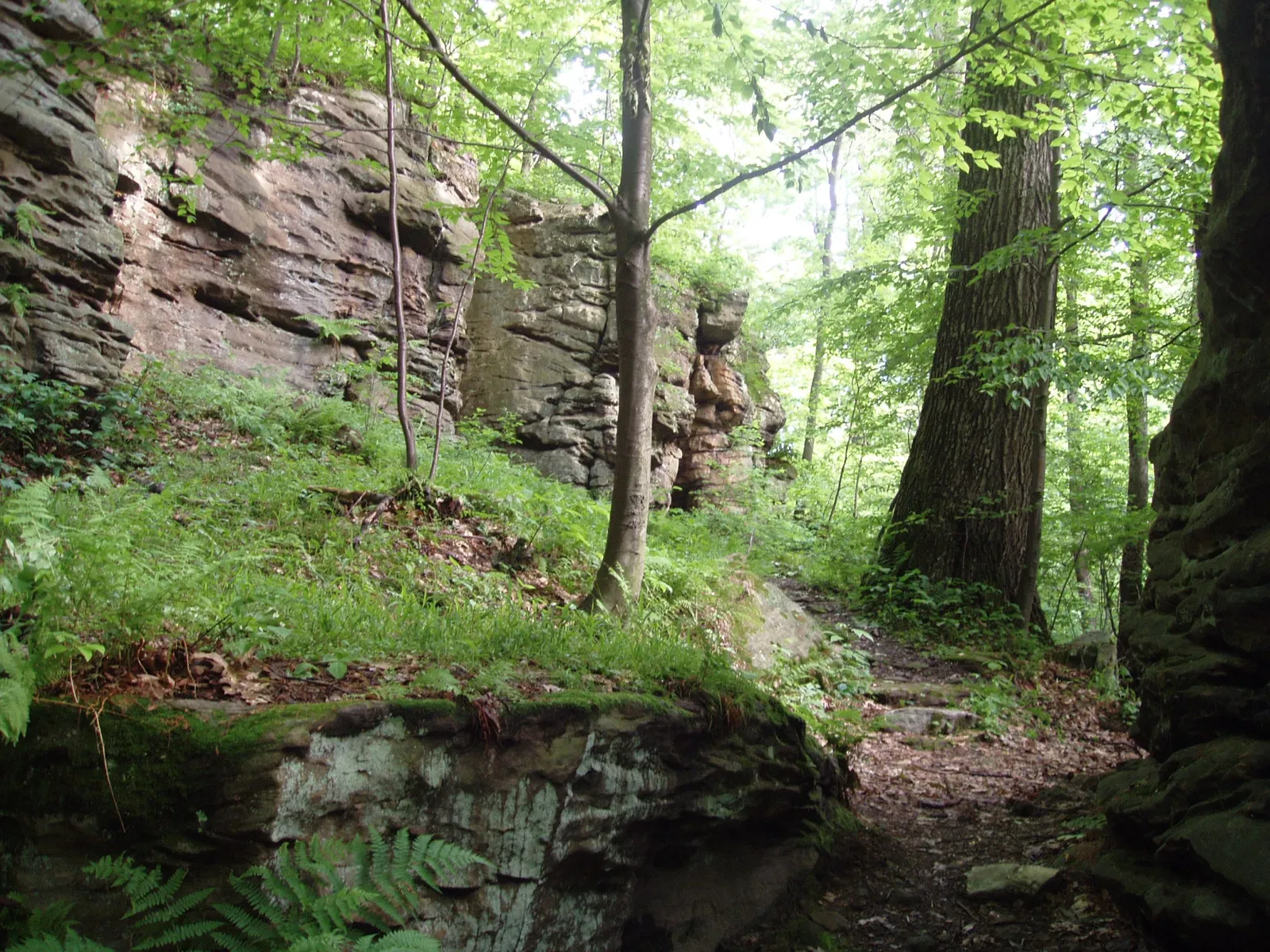 Champ de bataille national de Fort Necessity