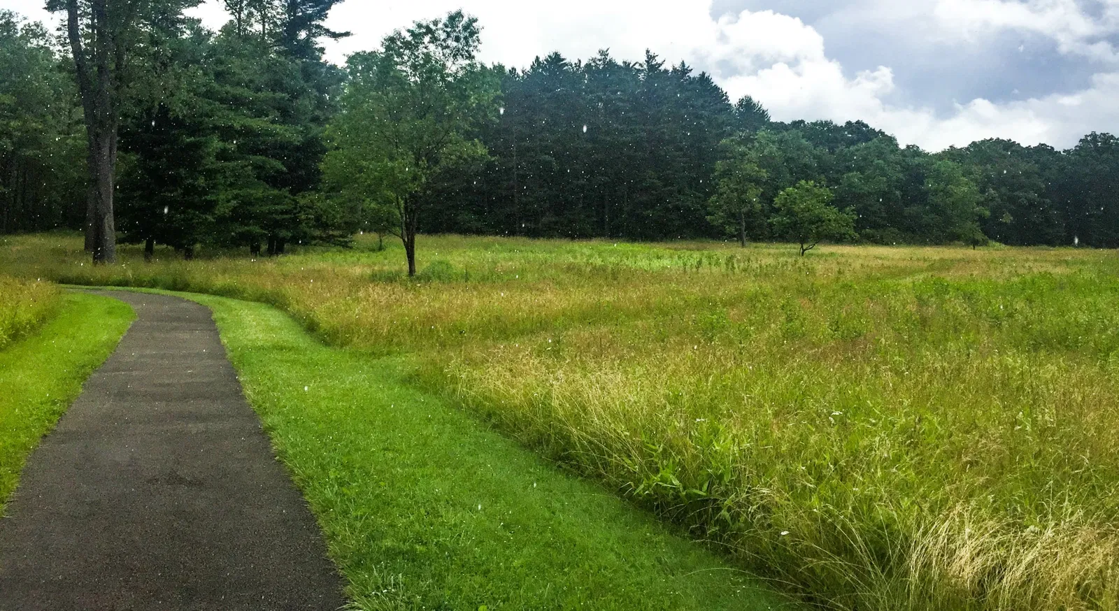 Fort Necessity National Battlefield