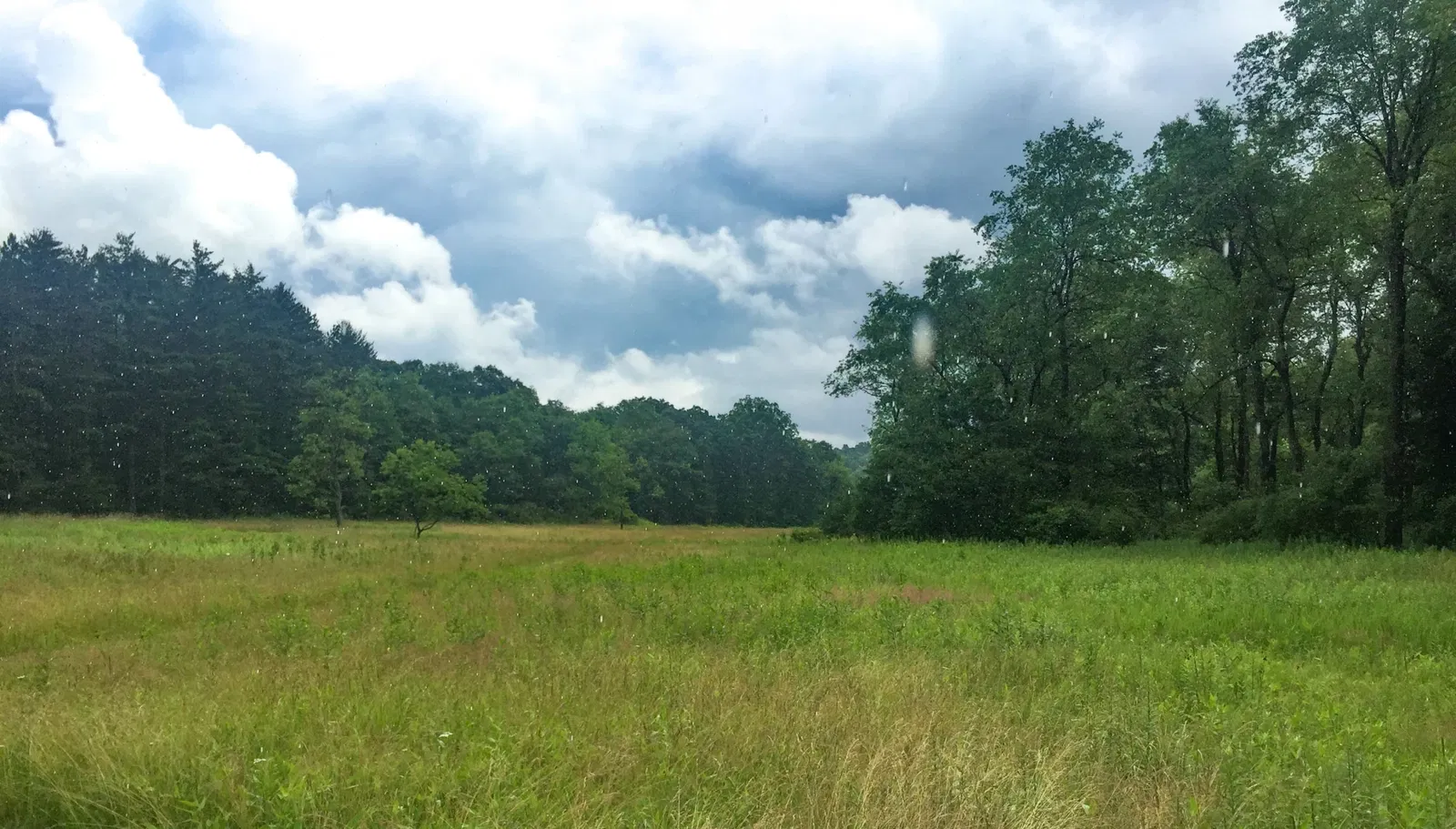 Fort Necessity National Battlefield