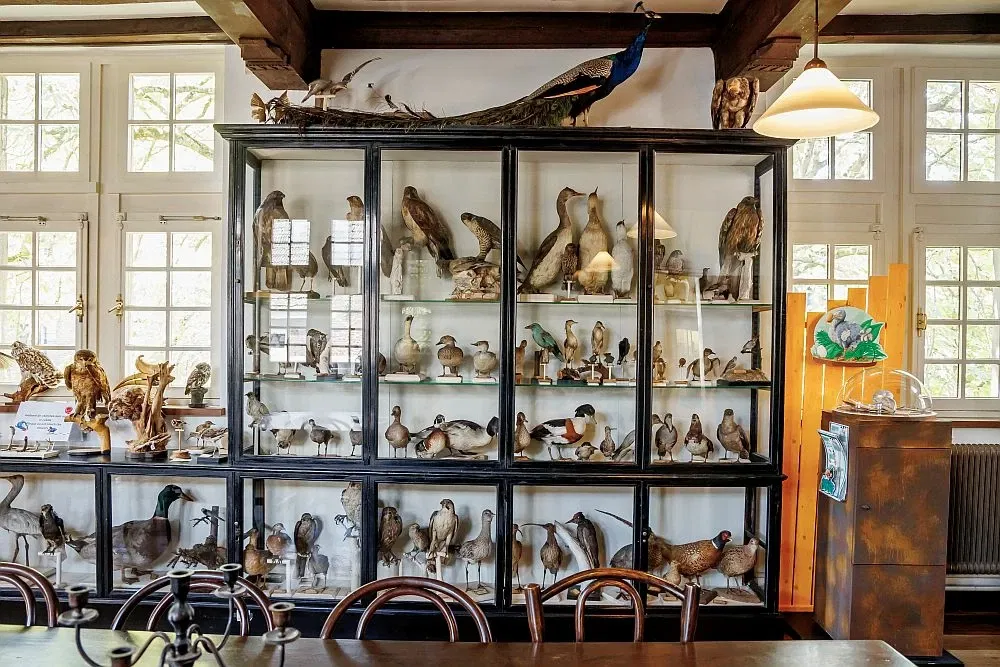 Natuurhistorisch Museum Maastricht