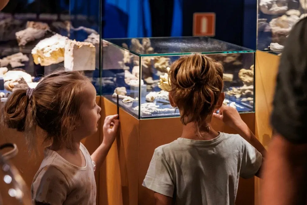 Natural History Museum of Maastricht