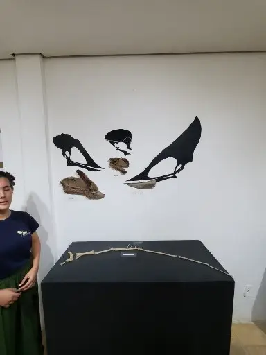 Museu de Paleontologia Plácido Cidade Nuvens • rt