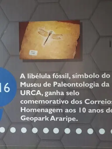 Museu de Paleontologia Plácido Cidade Nuvens • rt