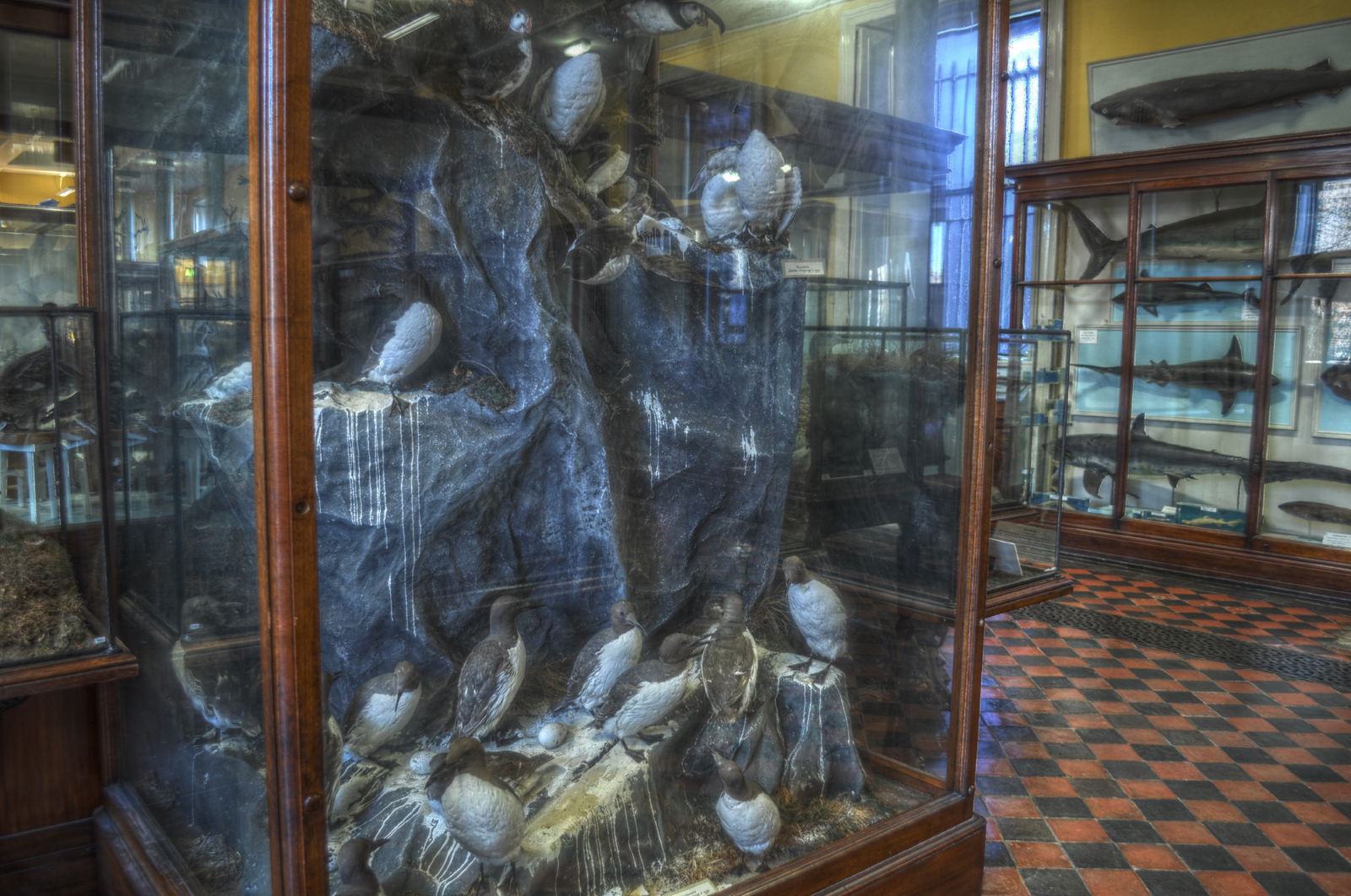 National Museum of Ireland, Merrion Street