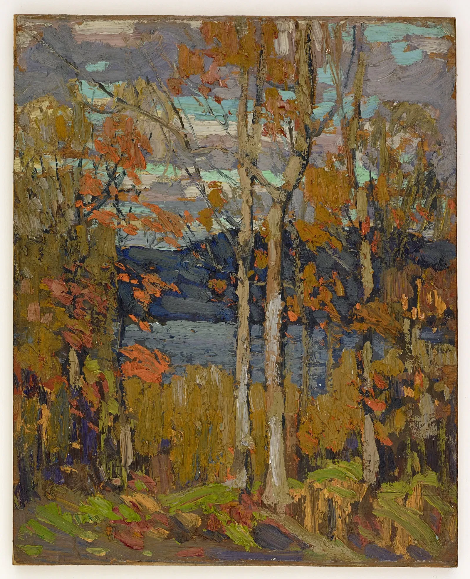 Mcmichael Canadian Art Collection