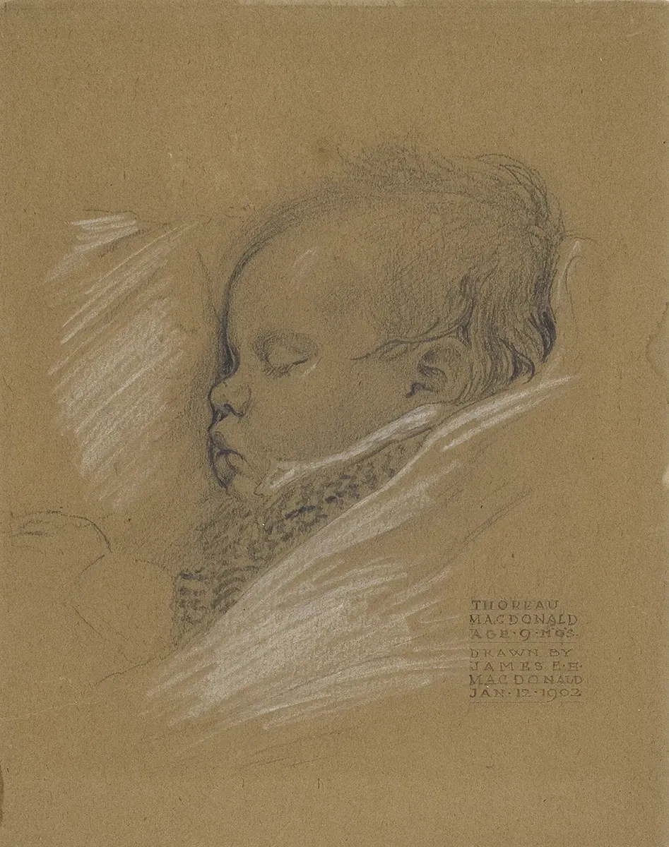 Mcmichael Canadian Art Collection