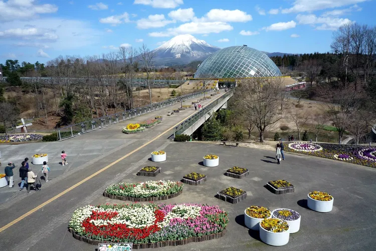 Tottori Hanakairo Flower Park