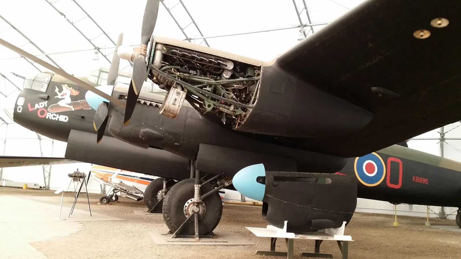 The Hangar Flight Museum