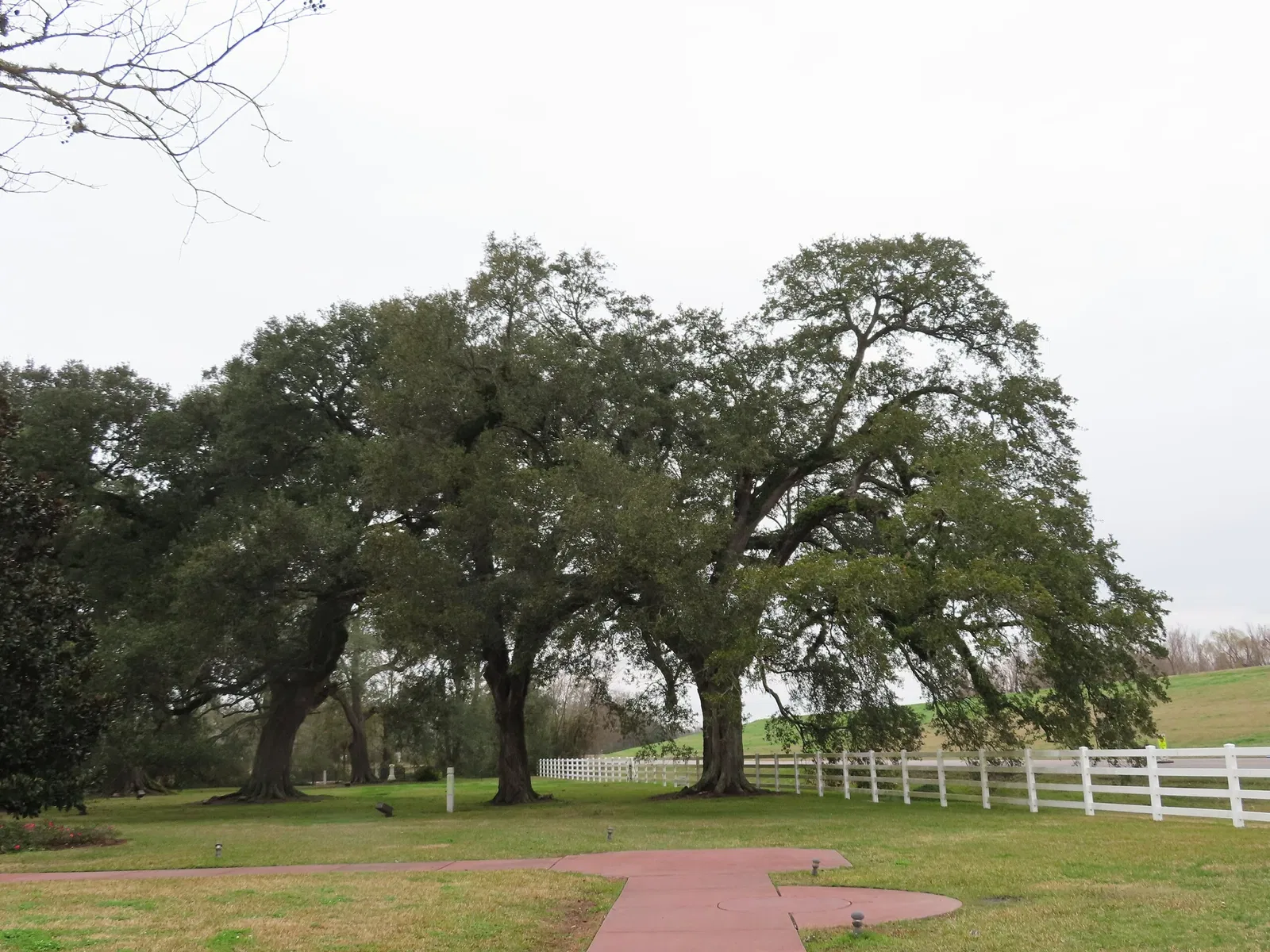 Nottoway Plantation House