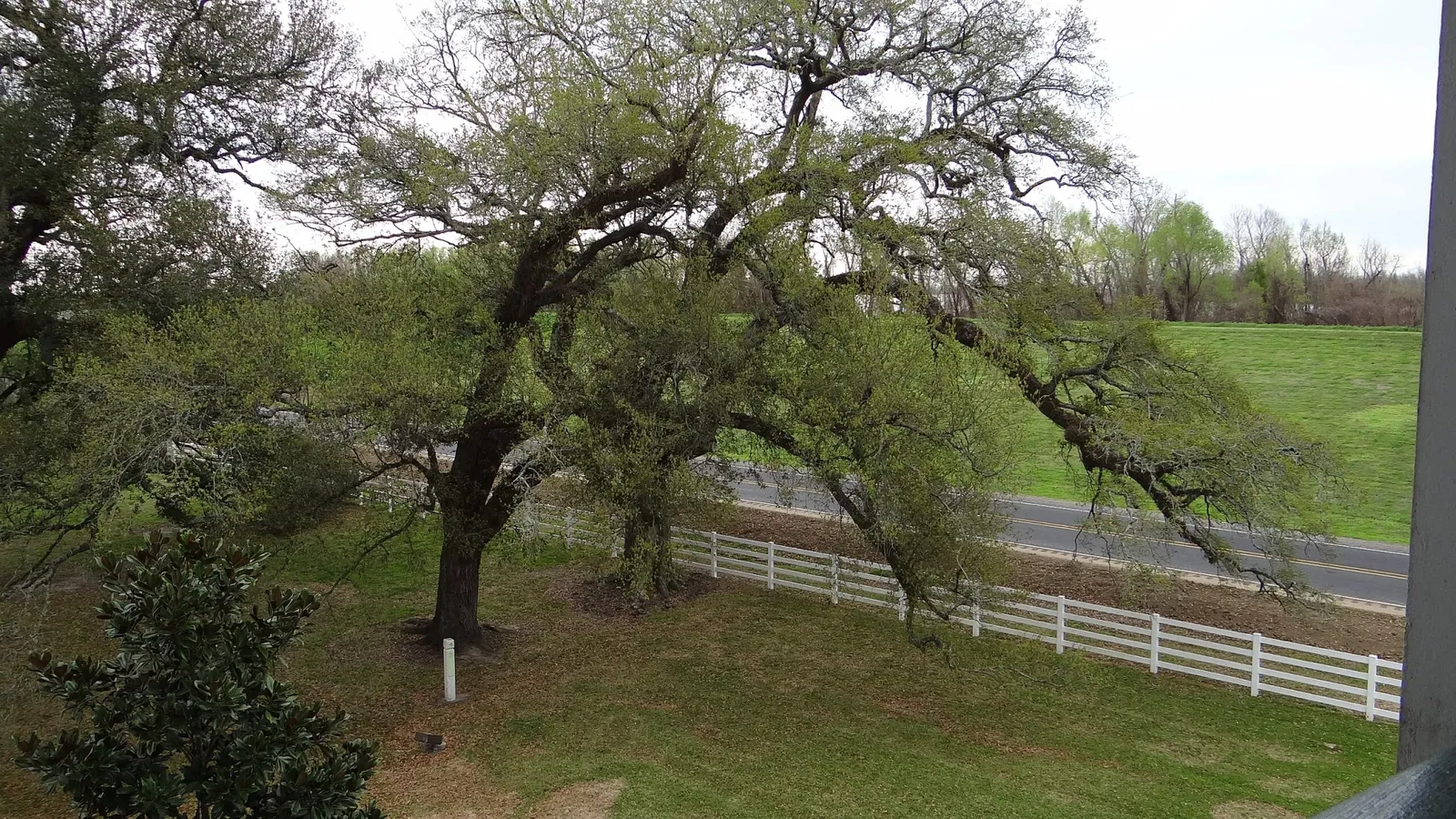 Nottoway Plantation House