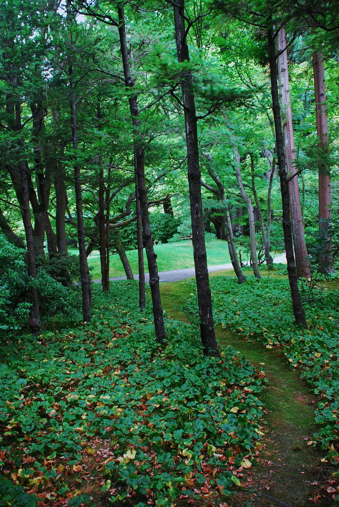 Nitobe Memorial Garden